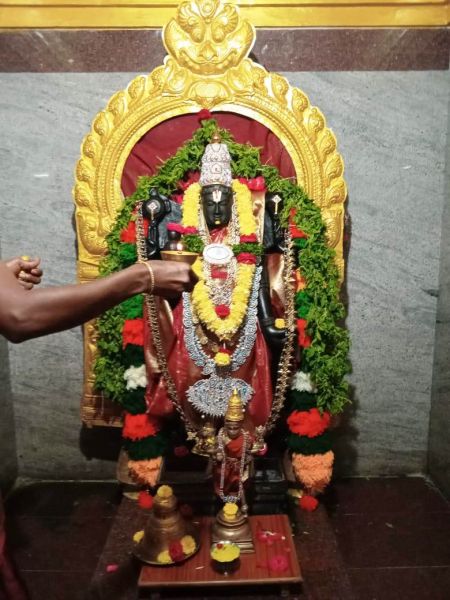 File:WhatsApp Image 2022-01-08 at 20.16.22.jpeg