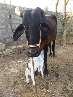 WhatsApp Image 2022-01-09 at 16.40.51.jpeg