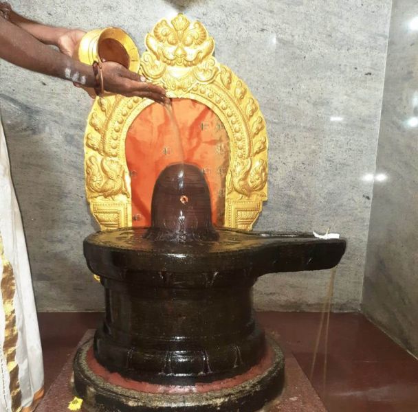 File:WhatsApp Image 2022-01-10 at 07.50.23 (1).jpeg