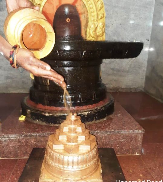 File:WhatsApp Image 2022-01-10 at 07.50.24.jpeg