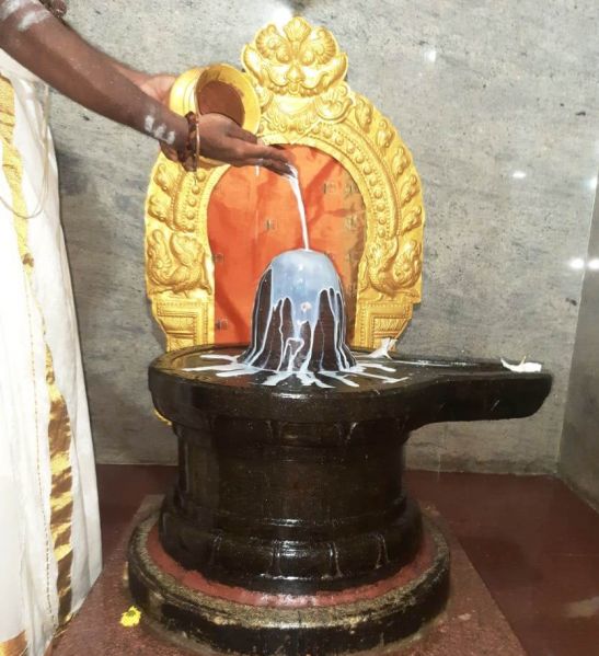 File:WhatsApp Image 2022-01-10 at 07.50.24 (1).jpeg