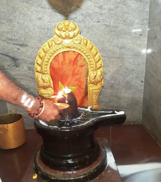 File:WhatsApp Image 2022-01-10 at 07.50.25.jpeg