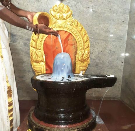 WhatsApp Image 2022-01-10 at 07.50.26.jpeg