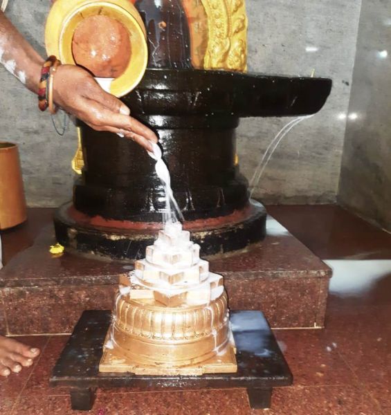 File:WhatsApp Image 2022-01-10 at 07.50.26 (1).jpeg