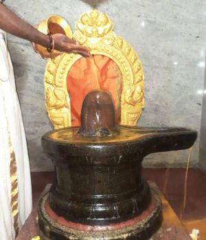 WhatsApp Image 2022-01-10 at 07.50.27 (1).jpeg