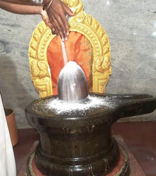 File:WhatsApp Image 2022-01-10 at 07.50.28.jpeg