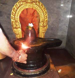 WhatsApp Image 2022-01-10 at 07.50.31.jpeg