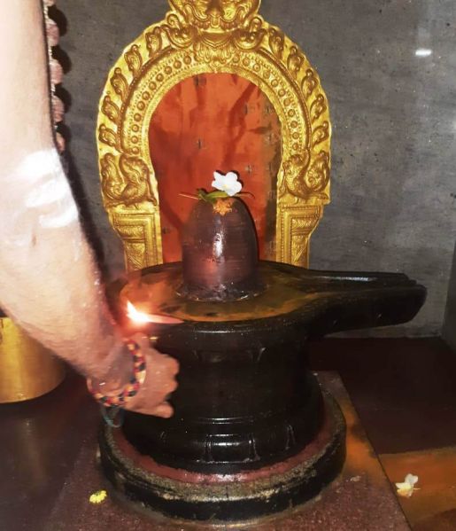 File:WhatsApp Image 2022-01-10 at 07.50.32.jpeg