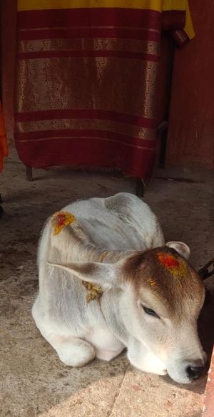 WhatsApp Image 2022-01-10 at 10.13.30.jpeg