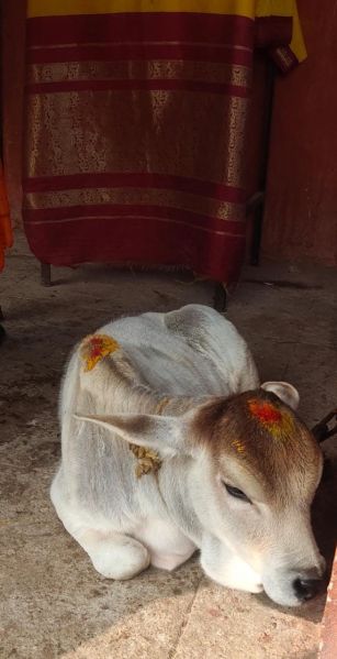 File:WhatsApp Image 2022-01-10 at 10.13.30.jpeg