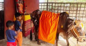 WhatsApp Image 2022-01-10 at 10.13.31.jpeg