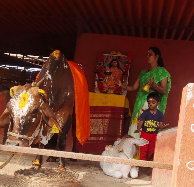 File:WhatsApp Image 2022-01-10 at 10.13.32.jpeg