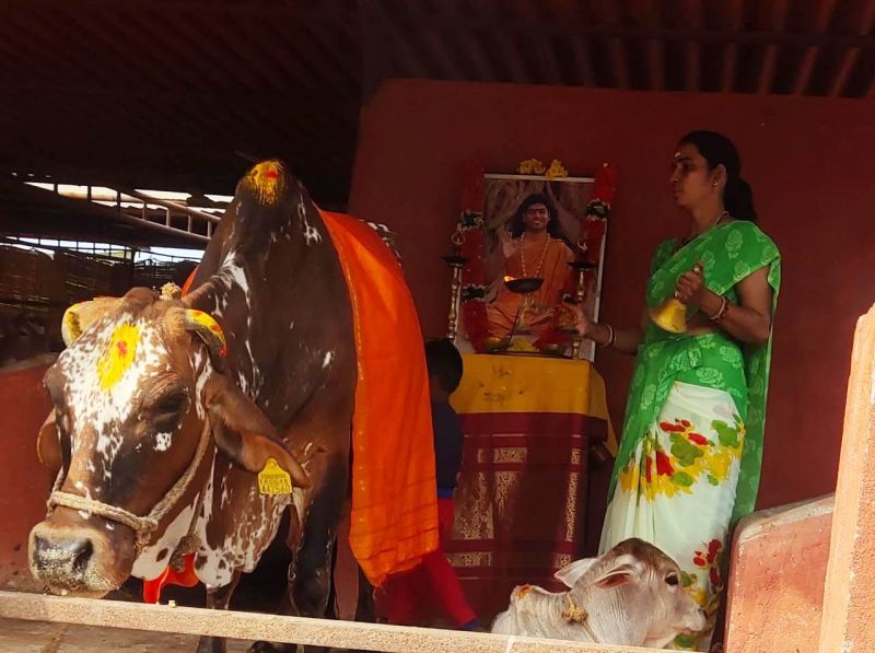 File:WhatsApp Image 2022-01-10 at 10.13.32 (1).jpeg