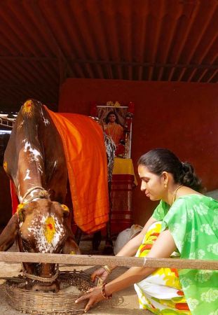 WhatsApp Image 2022-01-10 at 10.15.19.jpeg