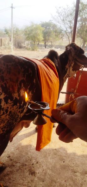 File:WhatsApp Image 2022-01-10 at 10.17.07 (2).jpeg