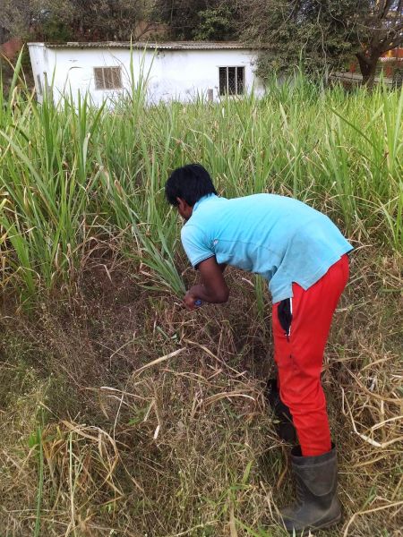 File:WhatsApp Image 2022-01-10 at 11.16.33.jpeg