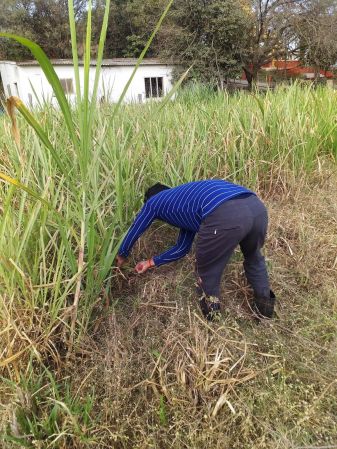 WhatsApp Image 2022-01-10 at 11.16.35.jpeg