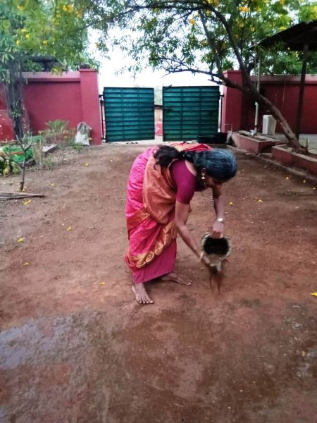 File:WhatsApp Image 2022-01-10 at 18.00.49.jpeg