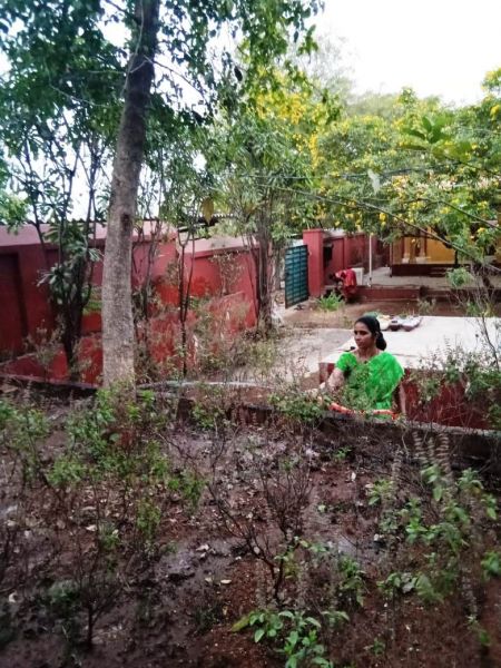 File:WhatsApp Image 2022-01-10 at 18.00.49 (1).jpeg