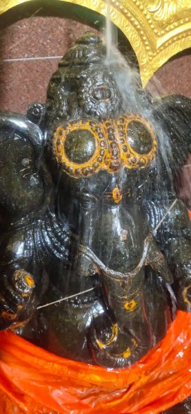 File:WhatsApp Image 2022-01-11 at 07.39.57.jpeg