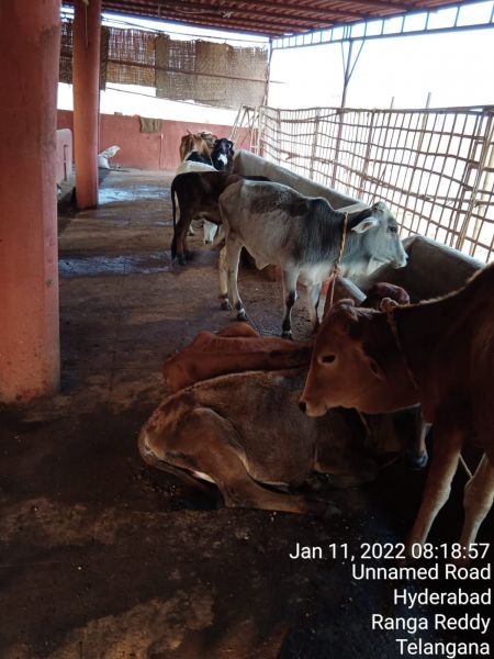 File:WhatsApp Image 2022-01-11 at 08.34.33.jpeg