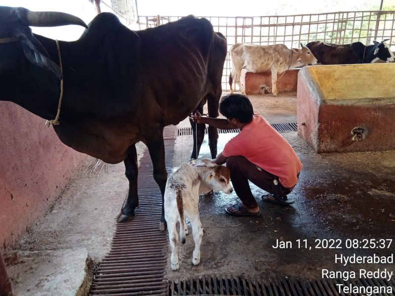 File:WhatsApp Image 2022-01-11 at 08.34.38 (1).jpeg