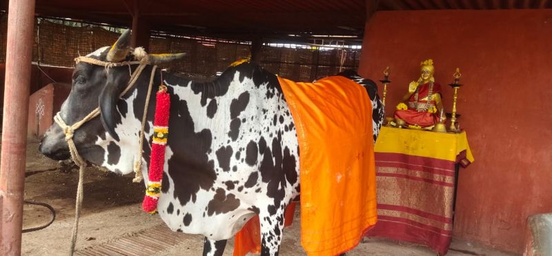 File:WhatsApp Image 2022-01-11 at 10.50.42 (2).jpeg