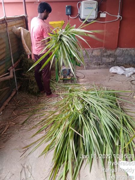 File:WhatsApp Image 2022-01-11 at 11.07.32.jpeg