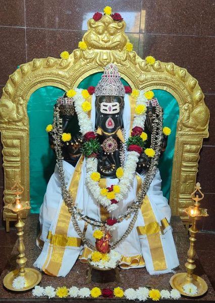 File:WhatsApp Image 2022-01-11 at 17.14.16.jpeg