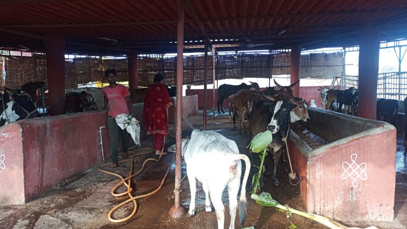 File:WhatsApp Image 2022-01-15 at 08.27.33.jpeg