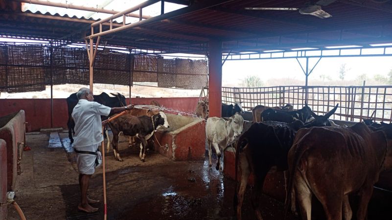 WhatsApp Image 2022-01-15 at 08.29.16.jpeg