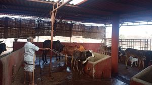 WhatsApp Image 2022-01-15 at 08.29.47.jpeg