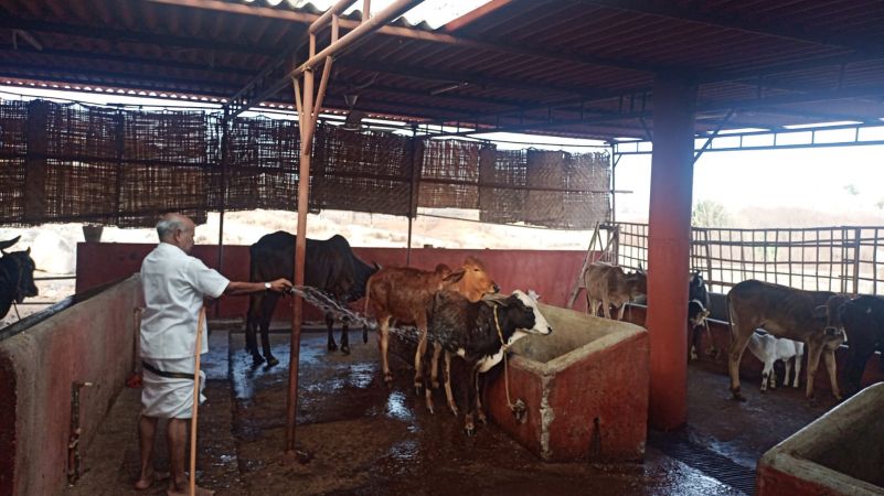 WhatsApp Image 2022-01-15 at 08.29.47.jpeg