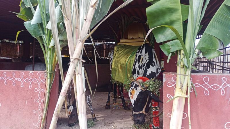 File:WhatsApp Image 2022-01-15 at 10.33.36.jpeg