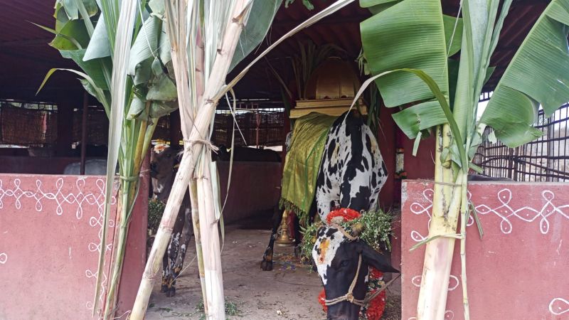 File:WhatsApp Image 2022-01-15 at 10.33.59.jpeg