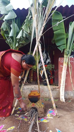 WhatsApp Image 2022-01-15 at 10.36.34.jpeg