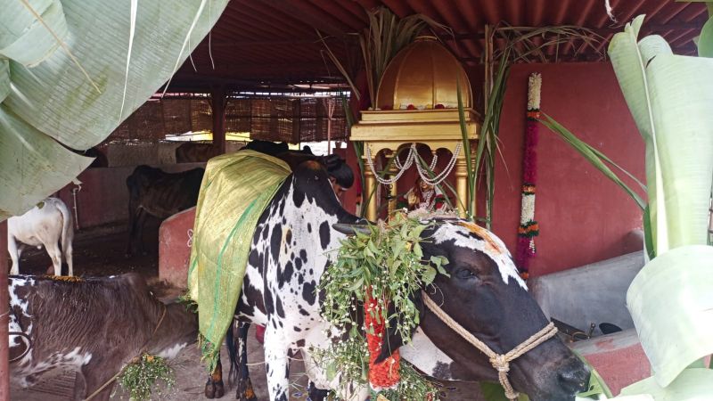 File:WhatsApp Image 2022-01-15 at 10.41.33.jpeg