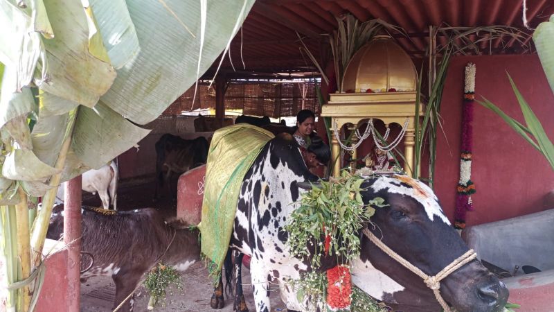 File:WhatsApp Image 2022-01-15 at 10.41.58.jpeg