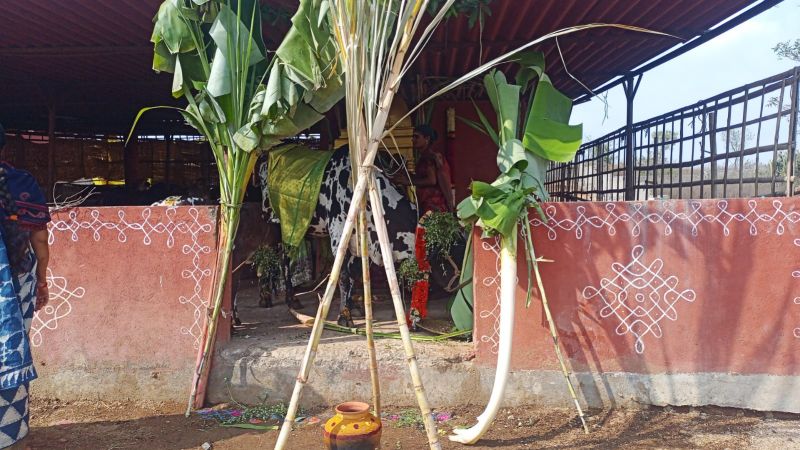 File:WhatsApp Image 2022-01-15 at 10.42.51.jpeg