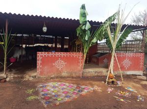 WhatsApp Image 2022-01-15 at 11.56.36.jpeg