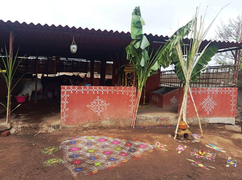 File:WhatsApp Image 2022-01-15 at 11.56.36.jpeg