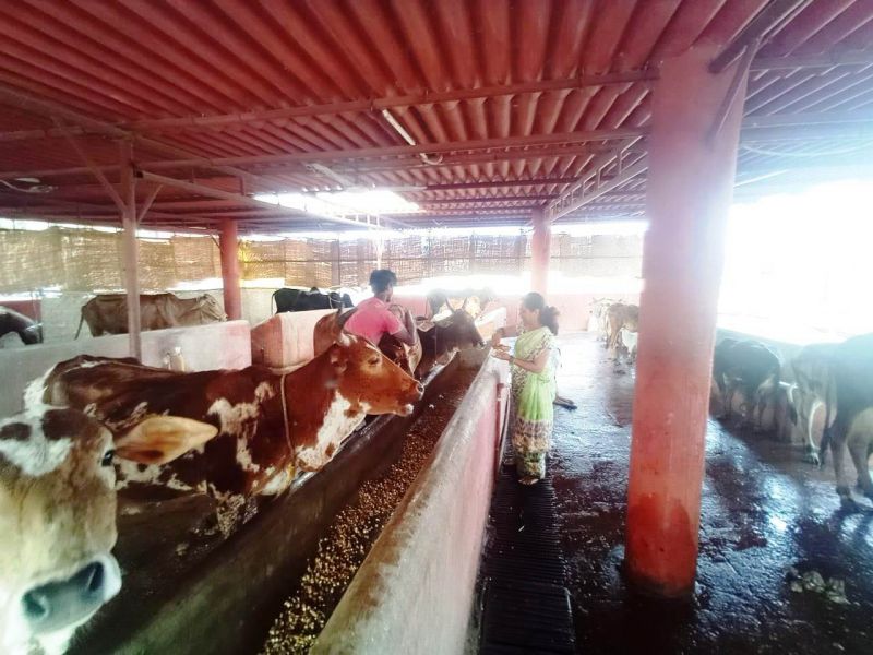 File:WhatsApp Image 2022-01-15 at 11.58.27 (1).jpeg