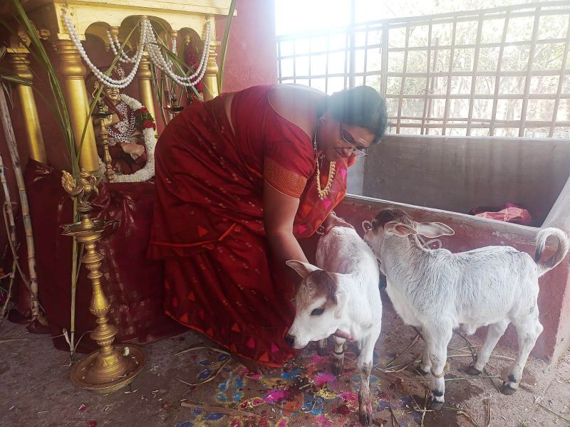 File:WhatsApp Image 2022-01-15 at 12.47.25.jpeg