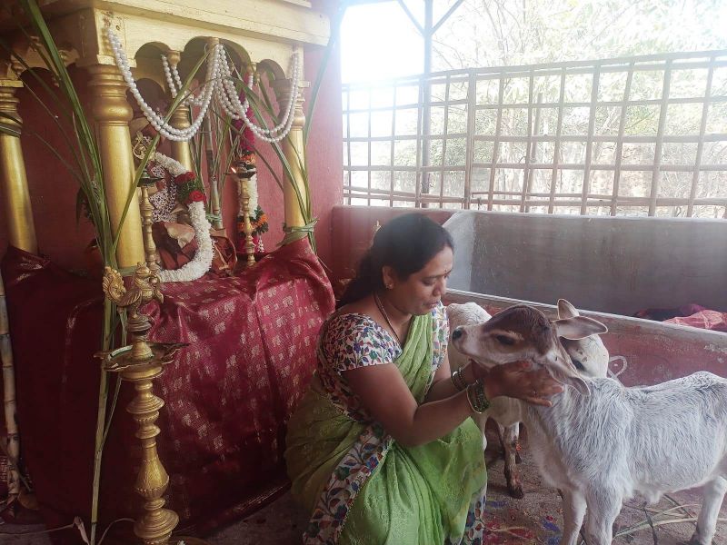 File:WhatsApp Image 2022-01-15 at 12.47.26 (1).jpeg