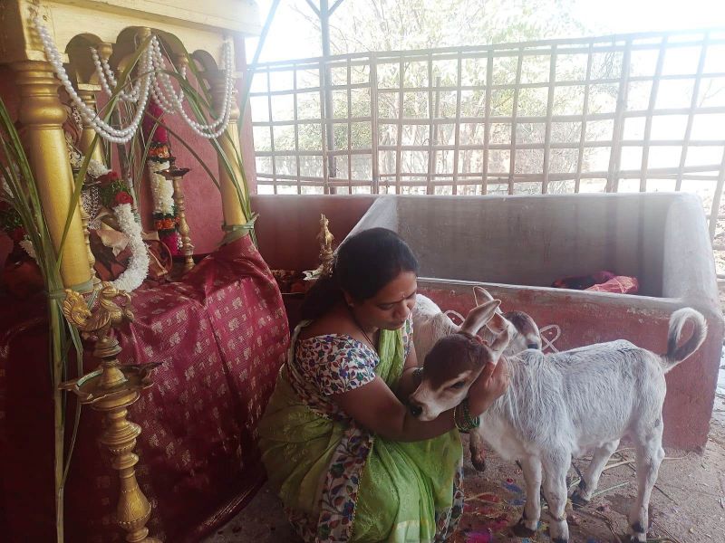 File:WhatsApp Image 2022-01-15 at 12.47.27 (1).jpeg