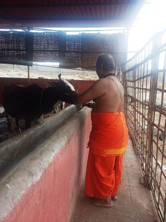 WhatsApp Image 2022-01-15 at 12.47.34 (1).jpeg