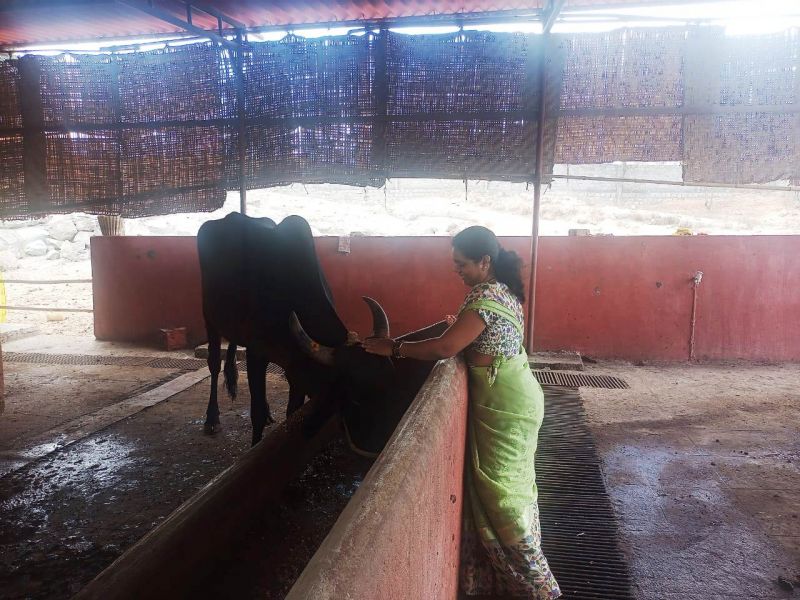 File:WhatsApp Image 2022-01-15 at 12.47.37.jpeg