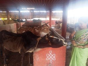 WhatsApp Image 2022-01-15 at 12.47.39.jpeg