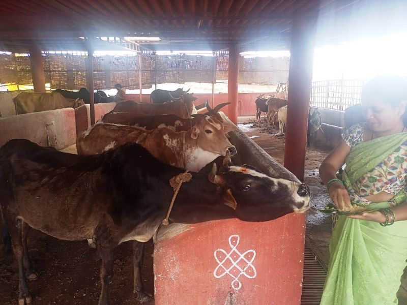 File:WhatsApp Image 2022-01-15 at 12.47.39.jpeg