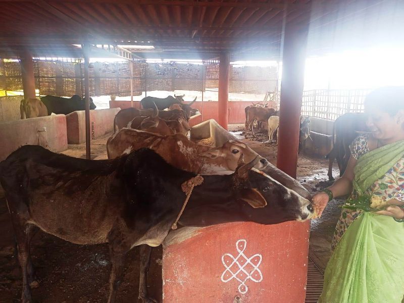 File:WhatsApp Image 2022-01-15 at 12.47.39 (1).jpeg